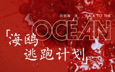 海鸥吉他谱_逃跑计划_G调_变调夹2品_吉他专家