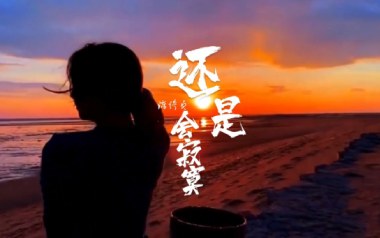还是会寂寞吉他谱_陈绮贞_C调_变调夹5品_网络转载