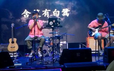 含笑有白鹭吉他谱_崔开潮_C调_变调夹2品_吉他专家