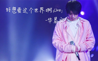 好想爱这个世界啊吉他谱_华晨宇_C调_变调夹不夹_唯音悦