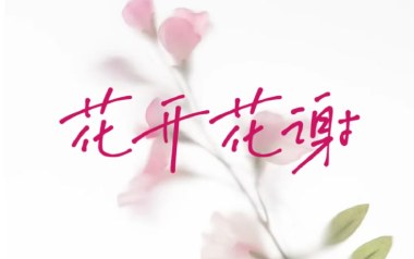 花开花谢花漫天吉他谱_罗哥_G调_变调夹不夹_第五频道