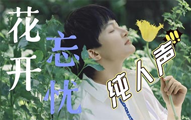 花开忘忧吉他谱_周深_G调_变调夹1品_喵了个艺