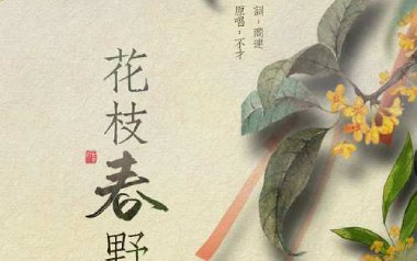 花枝春野吉他谱_不才_C调_变调夹不夹_吉他专家