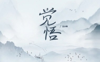 觉悟吉他谱_王小帅_G调_变调夹3品_一颗加菲
