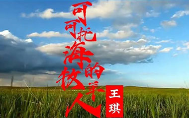 可可托海的牧羊人吉他谱_王琪_G调_变调夹1品_深蓝雨吉他的教程