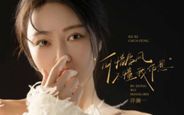 可惜春风不懂我伤悲吉他谱_洋澜一_G调_变调夹2品_小妖