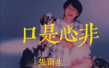 口是心非吉他谱_张雨生_C调_变调夹2品_无限延音