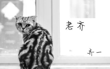 老齐吉他谱_齐一_E调_变调夹不夹_齐歌吉他