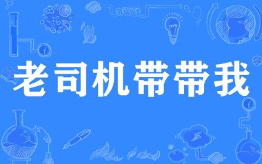 老司机带带我吉他谱_G调_变调夹不夹_浪淘沙