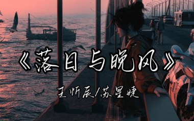 落日与晚风吉他谱_王忻辰_G调_变调夹1品_第七城市
