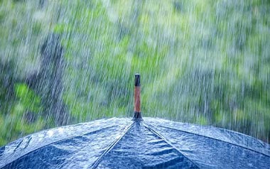 雷雨季节吉他谱_柯柯柯啊_C调_变调夹5品_网络转载