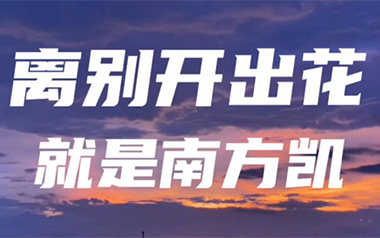 离别开出花吉他谱_就是南方凯_G调_变调夹2品_一颗加菲