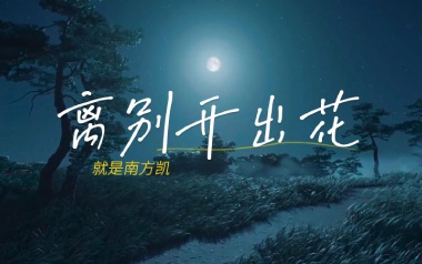 离别开出花吉他谱_就是南方凯_C调_变调夹4品_革命吉他的教程
