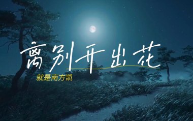 离别开出花吉他谱_就是南方凯_G调_变调夹2品_吉他专家