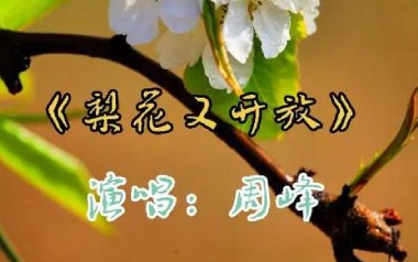 梨花又开放吉他谱_周峰_C调_变调夹根据个人情况选择_喵了个艺