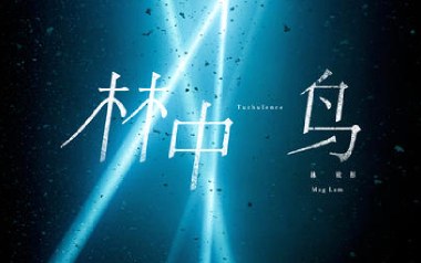 林中鸟吉他谱_葛林_C调_变调夹4品_梦马音乐