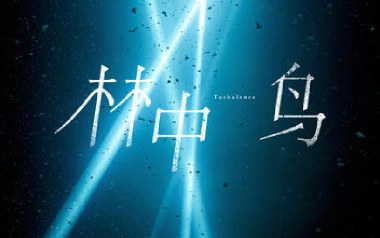 林中鸟吉他谱_葛林_C调_变调夹4品_网络转载