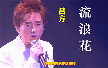 流浪花吉他谱_吕方_G调_变调夹不夹_网络转载