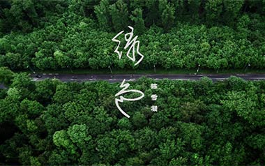 绿色吉他谱_陈雪凝_C调_变调夹3品_乐事吉他