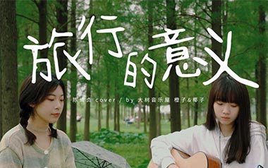 旅行的意义吉他谱_陈绮贞_C调_变调夹2品_大树音乐屋的教程