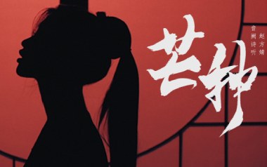 芒种吉他谱_音阙诗听_G调_变调夹1品_无限延音
