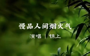 慢品人间烟火气吉他谱_锦上_G调_变调夹不夹_神人