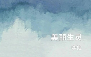 美丽生灵吉他谱_李健_C调_变调夹不夹_网络转载