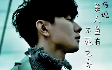 美人鱼吉他谱_林俊杰_C调_变调夹不夹_山山吉他