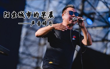 陌生城市的早晨吉他谱_声音碎片_D调_变调夹不夹_小埋