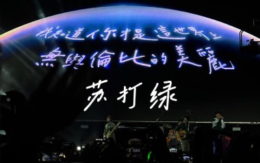 无与伦比的美丽吉他谱_苏打绿_C调_变调夹不夹_南音吉他