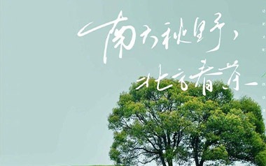 南方秋野北方春茶吉他谱_张远_C调_变调夹5品_喵了个艺