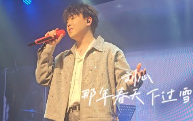 那年春天下着雪吉他谱_刘心_G调_变调夹不夹_浪淘沙