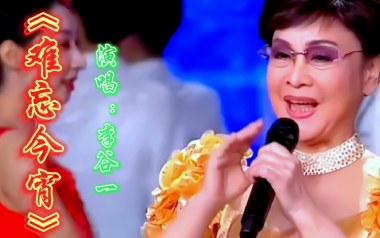 难忘今宵吉他谱_李谷一_C调_变调夹2品_葛叔叔