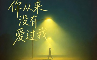 你从来没有爱过我吉他谱_励明_C调_变调夹1品_第九城市