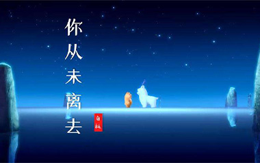 你从未离去吉他谱_白挺_C调_变调夹不夹_网络转载
