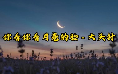 你看你看月亮的脸吉他谱_大头针_C调_变调夹5品_狂生兄