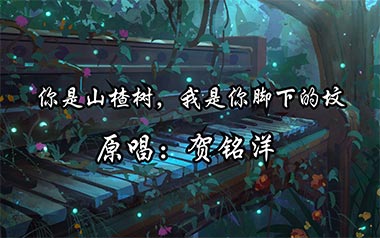 你是山楂树我是你脚下的坟吉他谱_贺铭洋_C调_变调夹不夹_网络转载