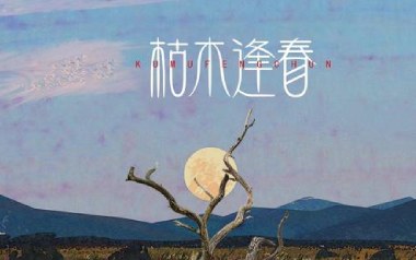 你说吉他谱_枯木逢春_C调_变调夹3品_吉他专家