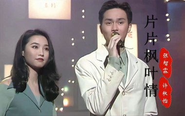 片片枫叶情吉他谱_张智霖_G调_变调夹1品_小埋