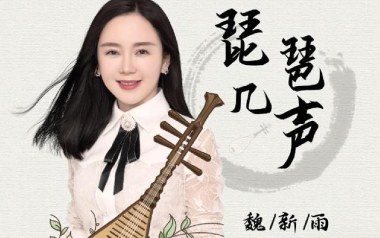 琵琶几声吉他谱_魏新雨_C调_变调夹3品_吉他天空