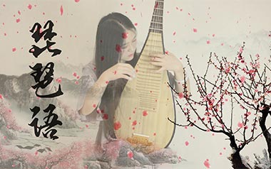 琵琶语吉他谱_林海_特殊调弦_变调夹4品_网络转载