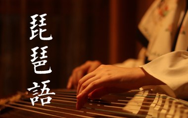 琵琶语吉他谱_林海_特殊调弦_变调夹不夹_深蓝雨吉他的教程