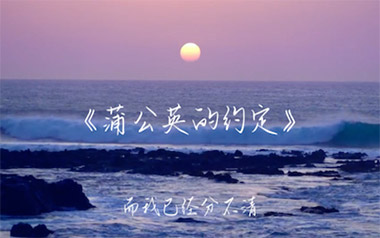 蒲公英的约定吉他谱_周杰伦_C调_变调夹不夹_山山吉他