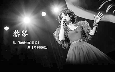 恰似你的温柔吉他谱_蔡琴_C调_变调夹不夹_网络转载