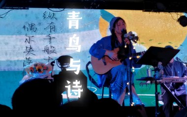 青鸟与诗吉他谱_愚青_G调_变调夹2品_小埋
