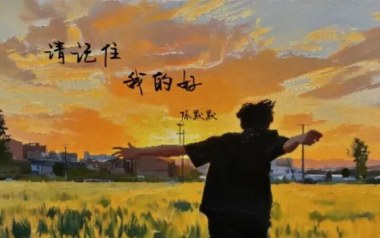 请记住我的好吉他谱_陈默默_C调_变调夹不夹_濮宇