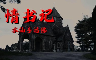 情书记吉他谱_水仙斗活佛_C调_变调夹不夹_濮宇