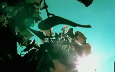 晴天吉他谱_周杰伦_G调_变调夹不夹_吉他专家