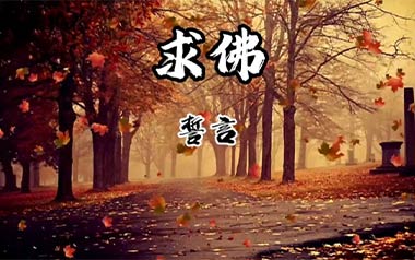 求佛吉他谱_誓言_G调_变调夹不夹_网络转载