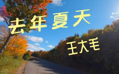 去年夏天吉他谱_王大毛_C调_变调夹2品_高音教